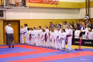 14. ročník turnaje KARATE