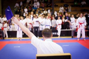 14. ročník turnaje KARATE