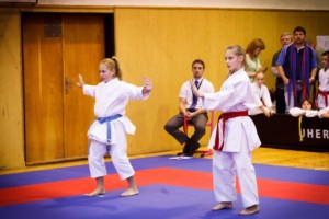 14. ročník turnaje KARATE