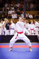 14. ročník turnaje KARATE