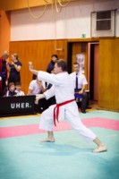 14. ročník turnaje KARATE