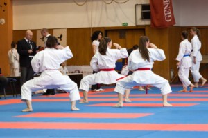 1. kolo Národního poháru karate